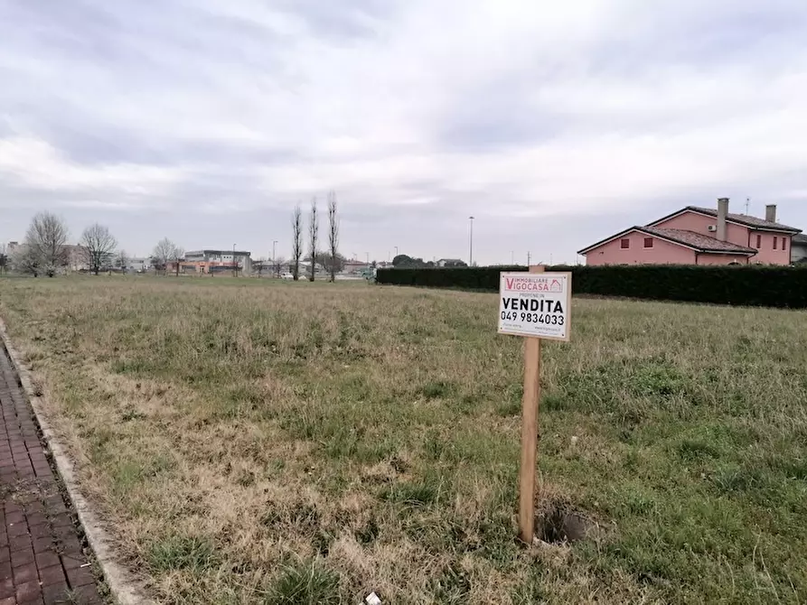 Immagine 3 di Terreno in vendita  a Campolongo Maggiore