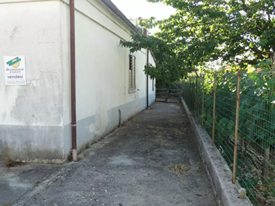 Immagine 6 di Casa indipendente in vendita  a Paternò