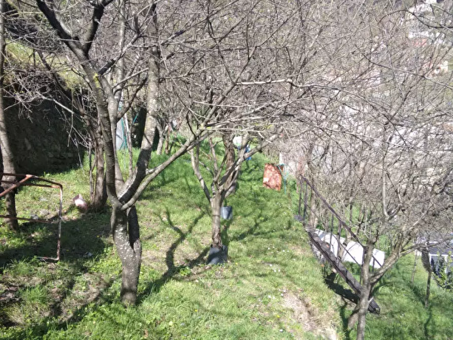 Immagine 12 di Rustico / casale in vendita  in centro di Favale di Malvaro a Favale Di Malvaro