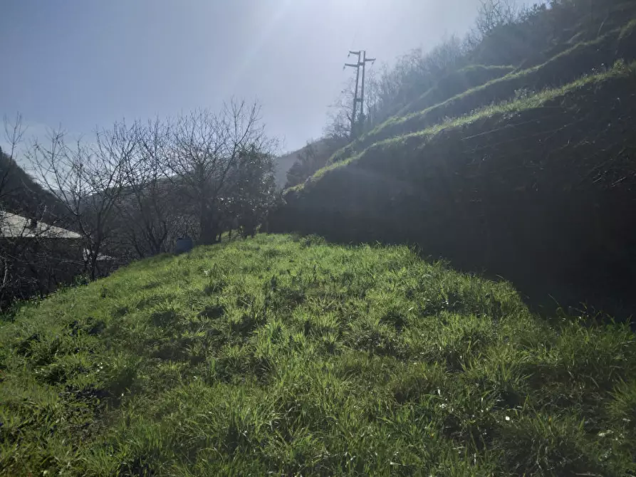 Immagine 13 di Rustico / casale in vendita  in centro di Favale di Malvaro a Favale Di Malvaro