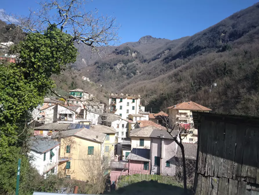 Immagine 14 di Rustico / casale in vendita  in centro di Favale di Malvaro a Favale Di Malvaro