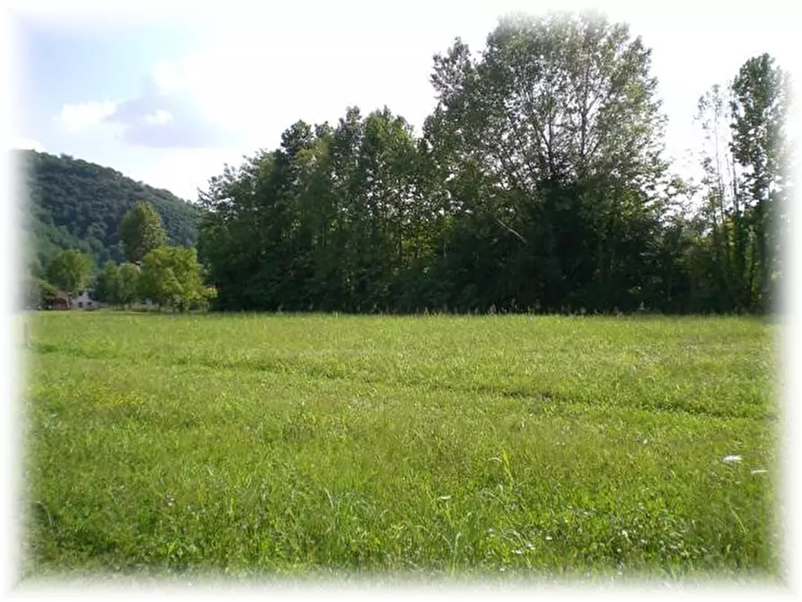 Immagine 3 di Terreno in vendita  a Teolo