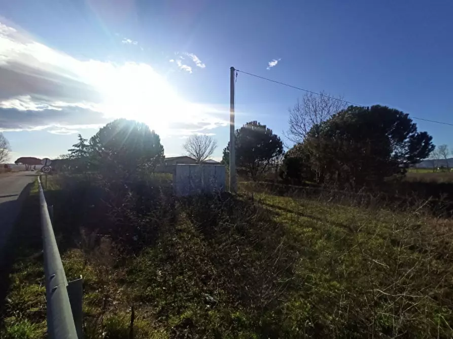 Immagine 2 di Terreno in vendita  a Castiglione Del Lago