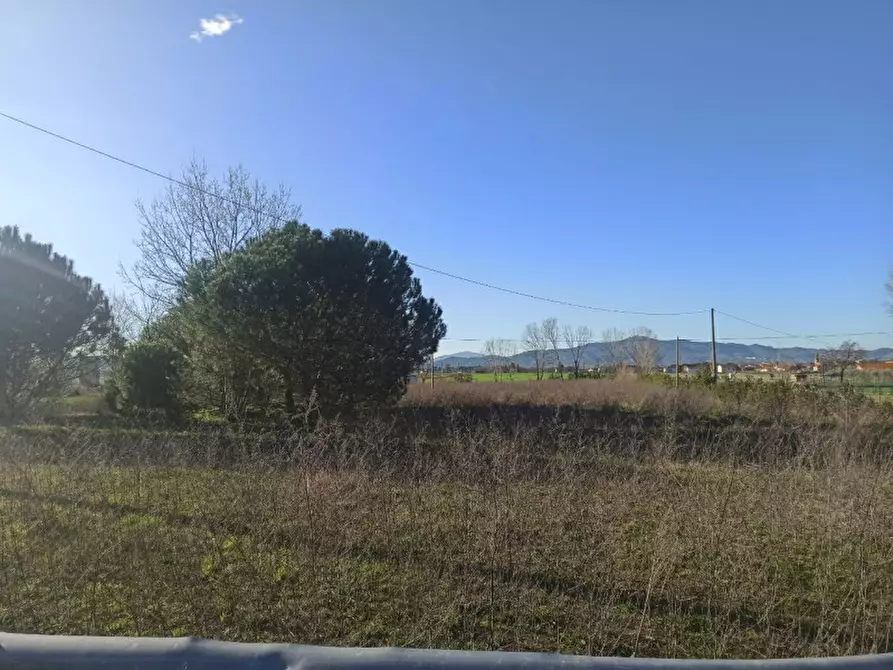 Immagine 6 di Terreno in vendita  a Castiglione Del Lago