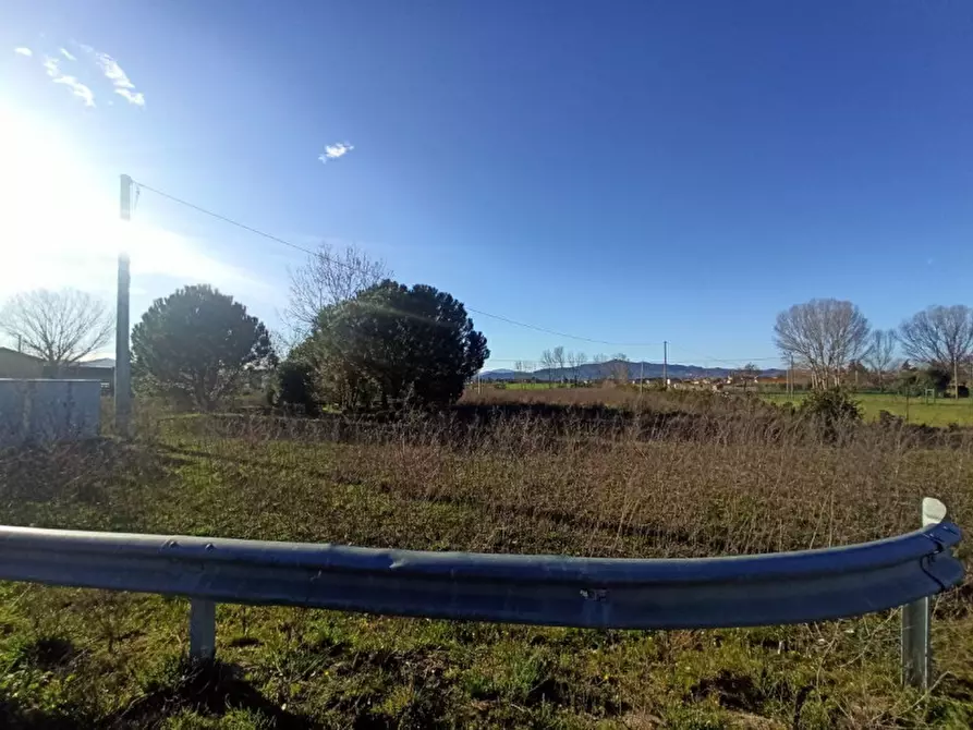 Immagine 7 di Terreno in vendita  a Castiglione Del Lago