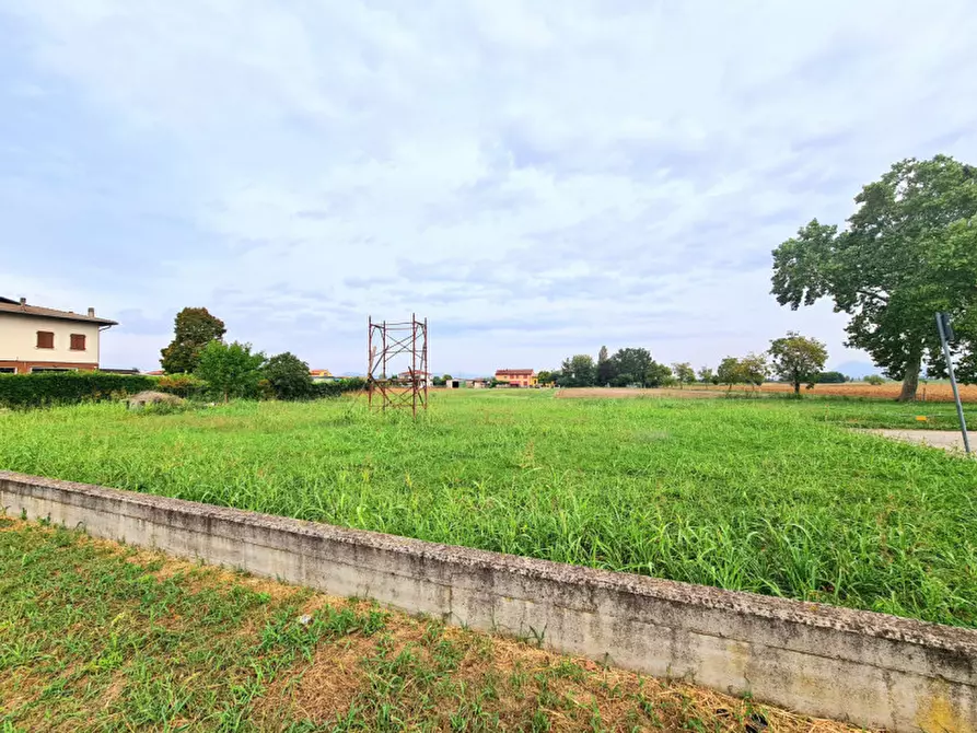 Immagine 3 di Terreno in vendita  in VIA FRANCESCO PETRARCA a Poiana Maggiore