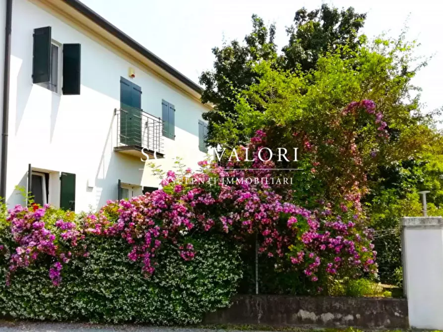 Immagine 3 di Villa in vendita  a Vedelago