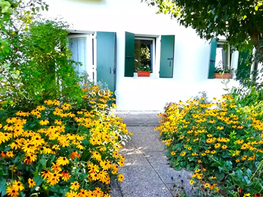 Immagine 4 di Villa in vendita  a Vedelago