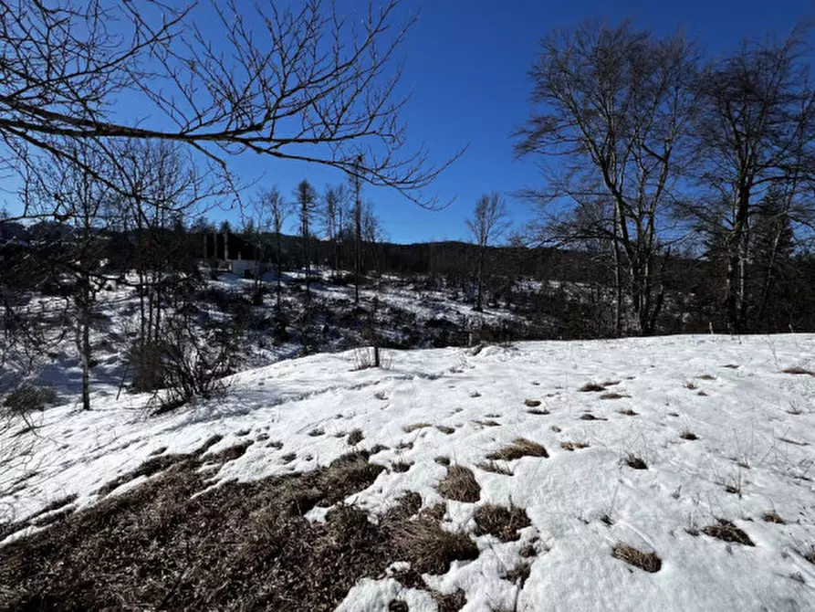 Immagine 13 di Villa in vendita  in Lavarone (TN) Via Dante Alighieri 8 a Lavarone
