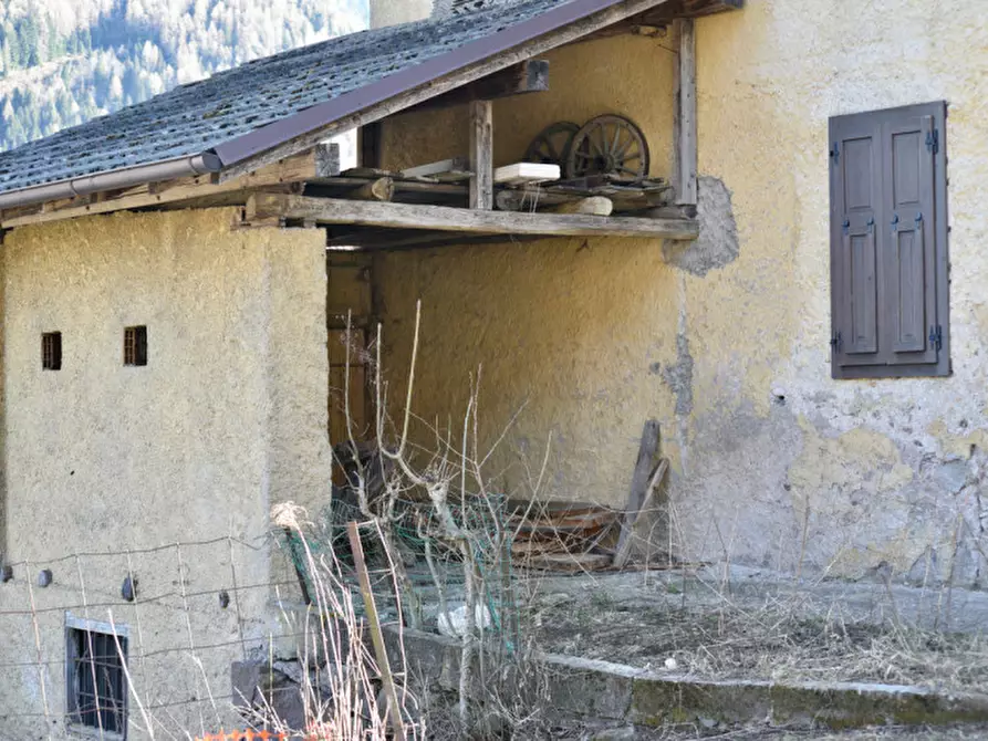 Immagine 5 di Rustico / casale in vendita  in Località Vallette a Sant'orsola Terme