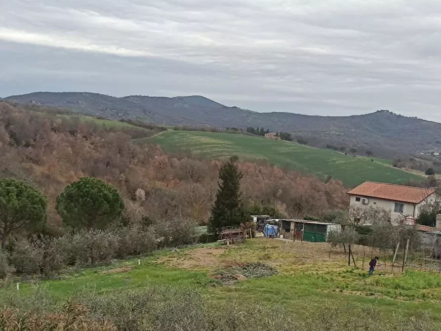 Immagine 23 di Casa indipendente in vendita  in località Missiano a Panicale