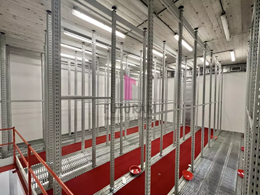 Immagine 20 di Capannone industriale in affitto  in Via Dante a Torri Di Quartesolo