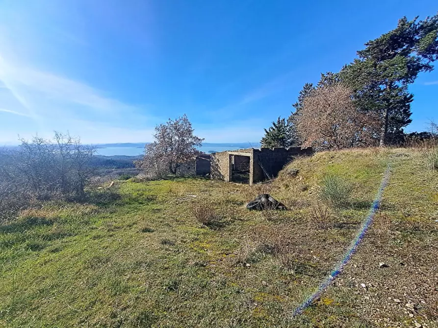 Immagine 2 di Terreno in vendita  a Lisciano Niccone