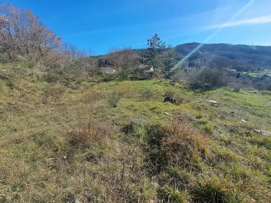 Immagine 3 di Terreno in vendita  a Lisciano Niccone