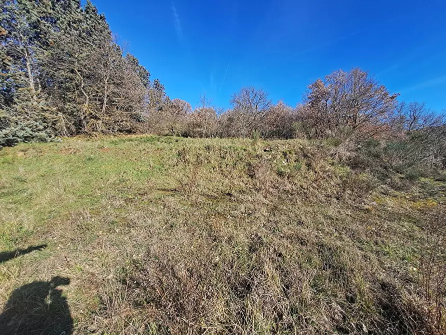 Immagine 4 di Terreno in vendita  a Lisciano Niccone