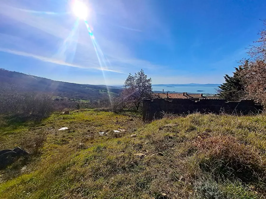 Immagine 6 di Terreno in vendita  a Lisciano Niccone