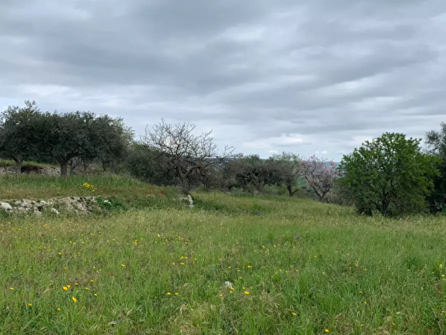 Immagine 8 di Casa indipendente in vendita  in Via San Giacomo a Ragusa