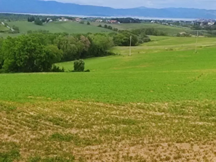 Immagine 1 di Terreno in vendita  in località Gioiella a Castiglione Del Lago