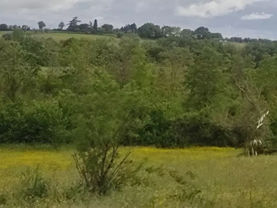 Immagine 3 di Terreno in vendita  in località Gioiella a Castiglione Del Lago