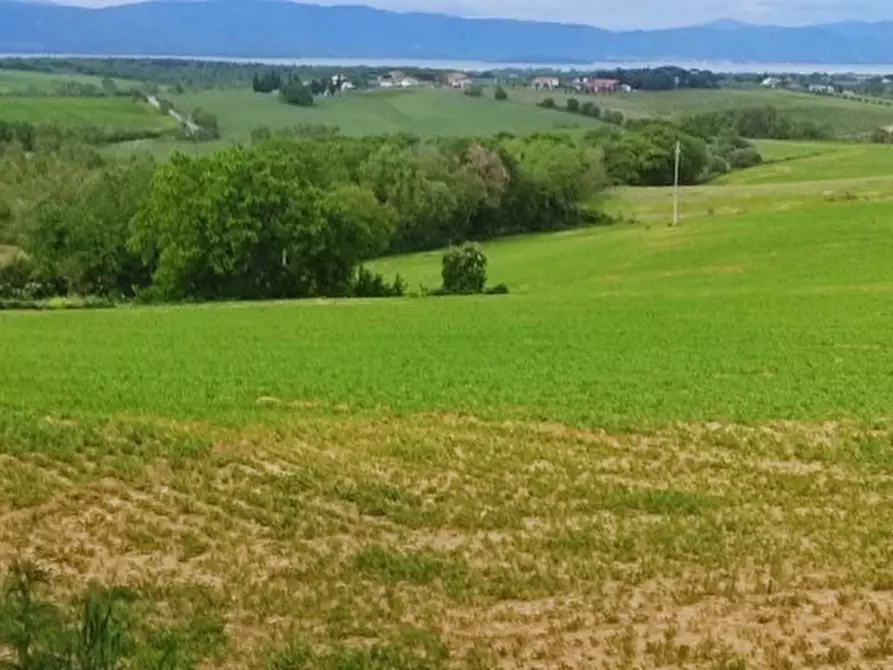 Immagine 4 di Terreno in vendita  in località Gioiella a Castiglione Del Lago