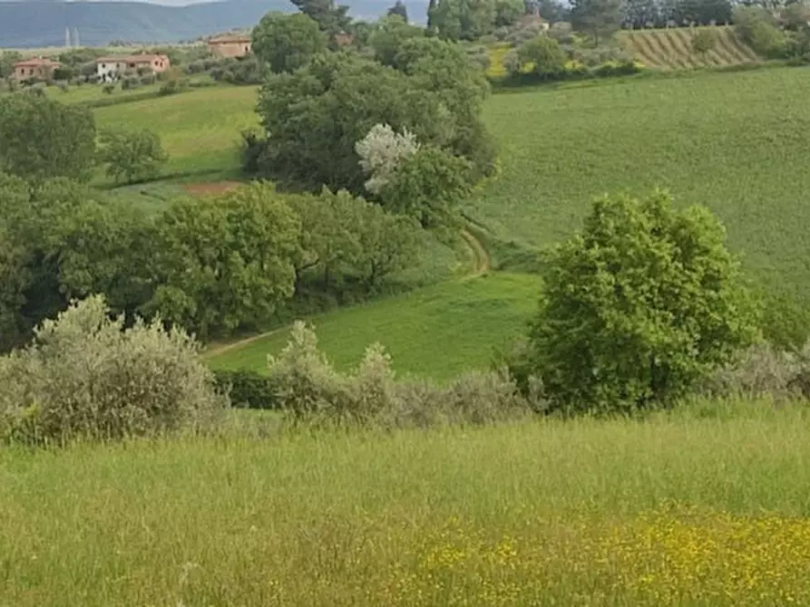 Immagine 6 di Terreno in vendita  in località Gioiella a Castiglione Del Lago