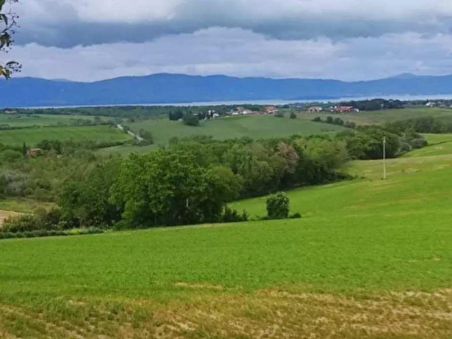 Immagine 7 di Terreno in vendita  in località Gioiella a Castiglione Del Lago