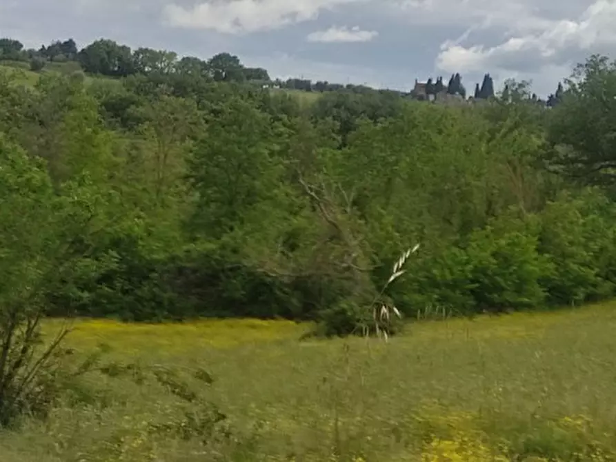 Immagine 8 di Terreno in vendita  in località Gioiella a Castiglione Del Lago