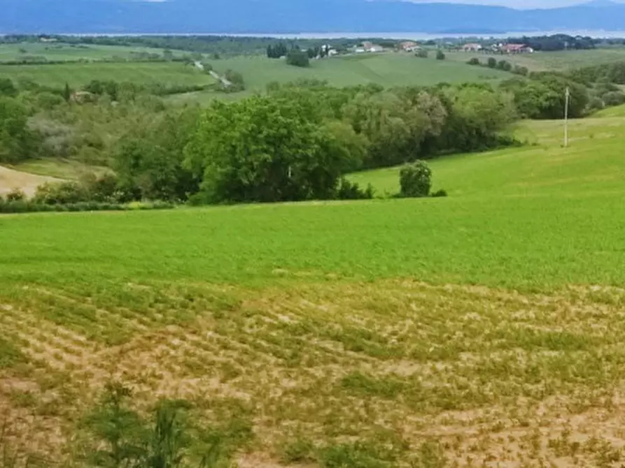 Immagine 10 di Terreno in vendita  in località Gioiella a Castiglione Del Lago