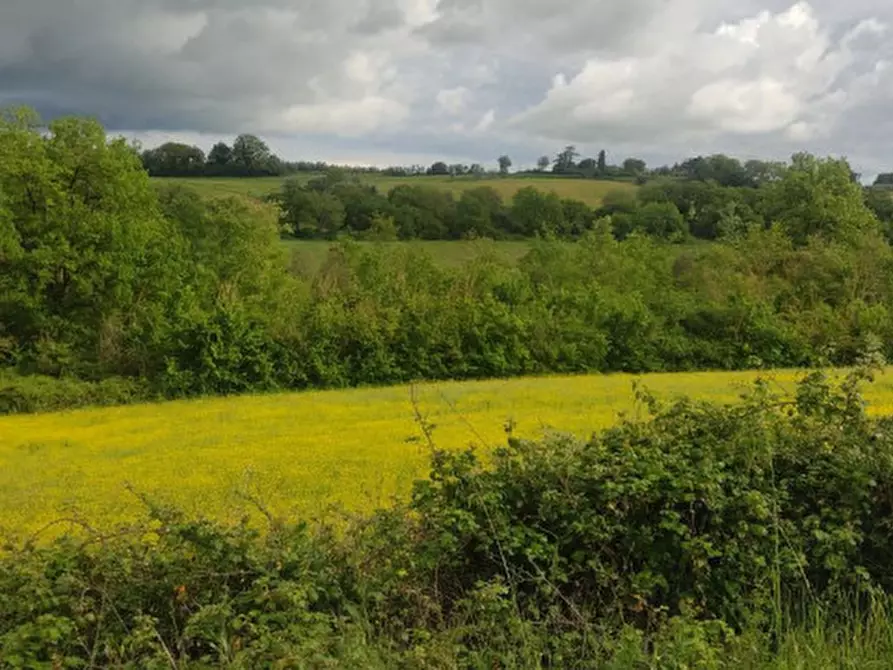 Immagine 11 di Terreno in vendita  in località Gioiella a Castiglione Del Lago
