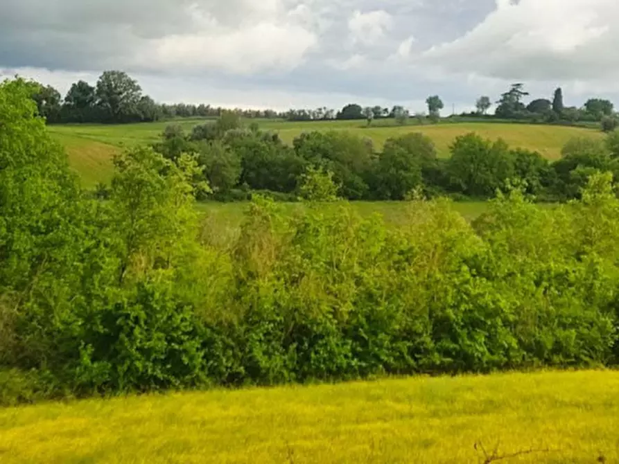 Immagine 12 di Terreno in vendita  in località Gioiella a Castiglione Del Lago
