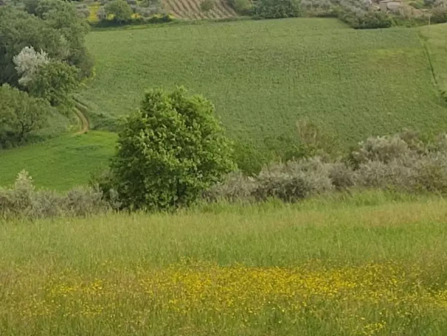 Immagine 13 di Terreno in vendita  in località Gioiella a Castiglione Del Lago