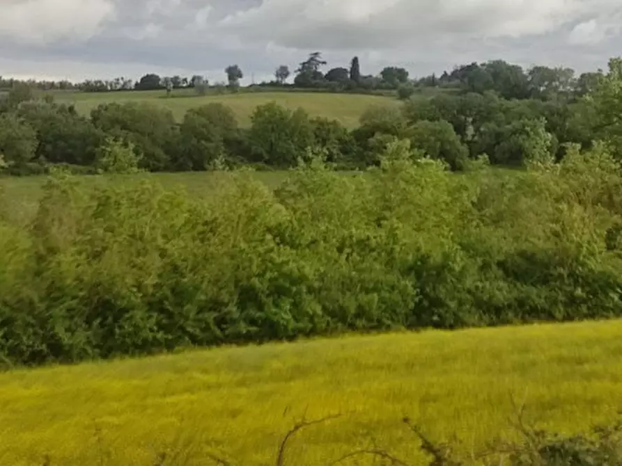 Immagine 14 di Terreno in vendita  in località Gioiella a Castiglione Del Lago