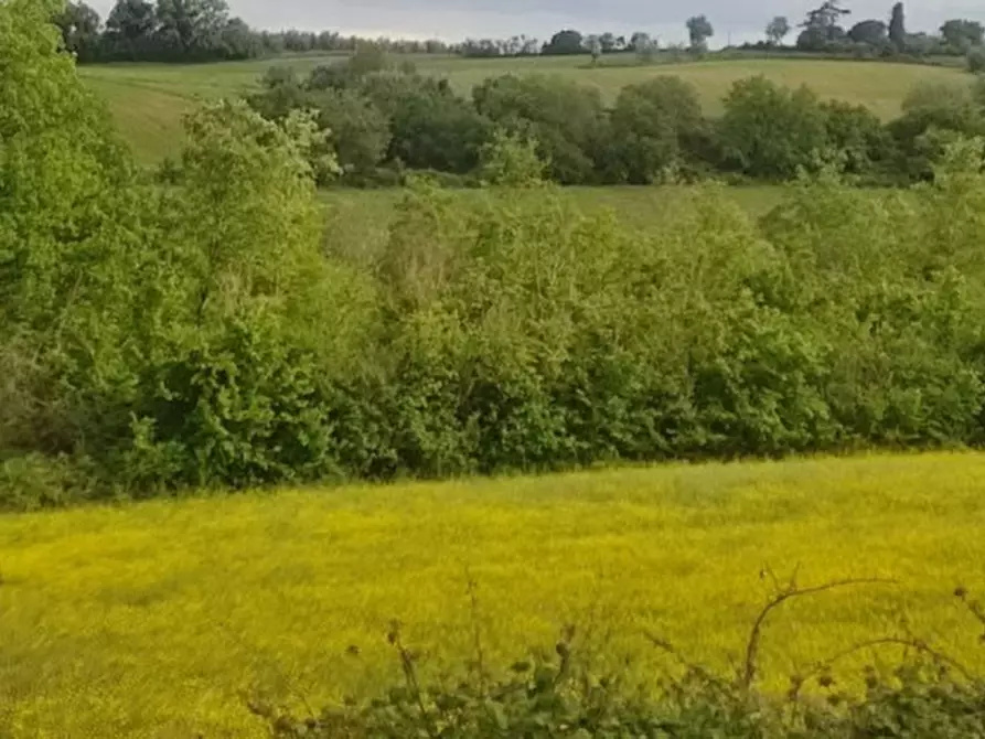 Immagine 15 di Terreno in vendita  in località Gioiella a Castiglione Del Lago