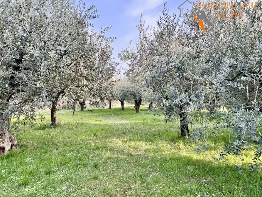 Immagine 8 di Villa in vendita  in Via Castagnaro, 2 a Sona