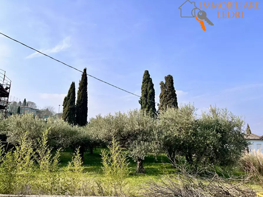 Immagine 13 di Villa in vendita  in Via Castagnaro, 2 a Sona