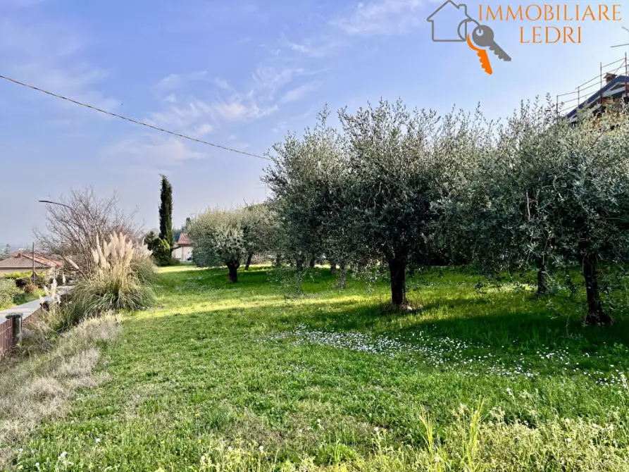 Immagine 20 di Villa in vendita  in Via Castagnaro, 2 a Sona