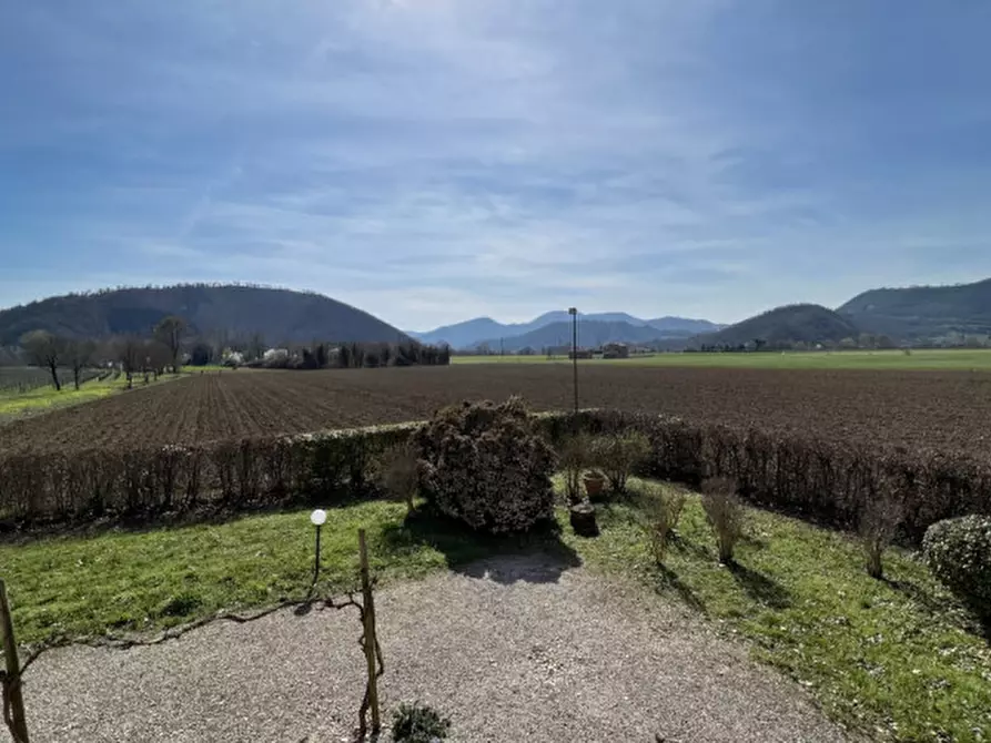 Immagine 7 di Rustico / casale in vendita  in Via Appia Monterosso a Abano Terme