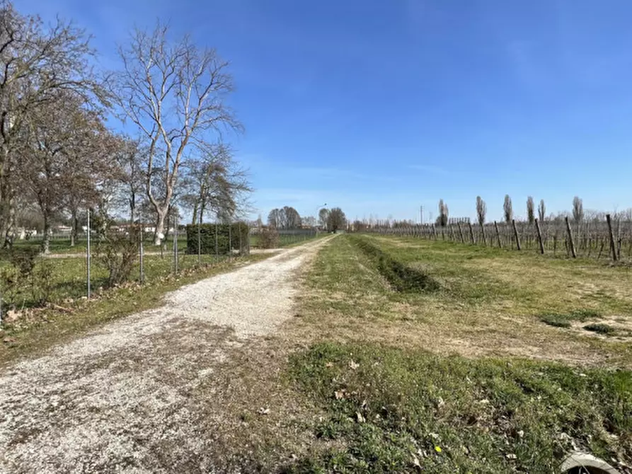 Immagine 33 di Rustico / casale in vendita  in Via Appia Monterosso a Abano Terme