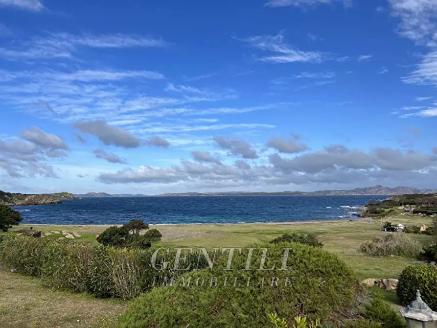 Immagine 8 di Appartamento in vendita  a Arzachena