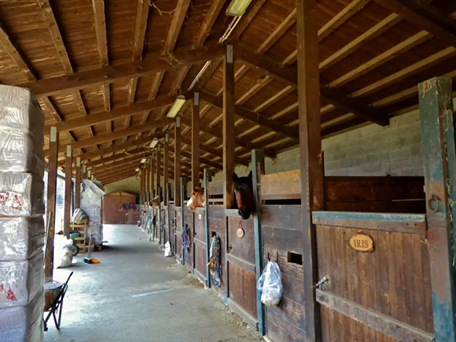 Immagine 15 di Rustico / casale in vendita  in Via Bellavista a Isola Vicentina