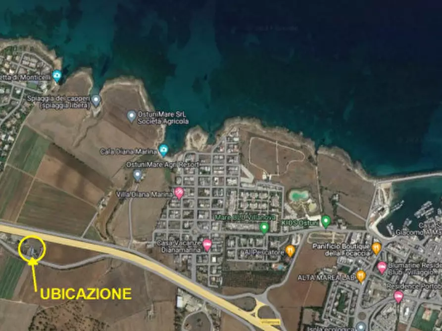 Immagine 3 di Rustico / casale in vendita  in C.da Monticelli a Ostuni