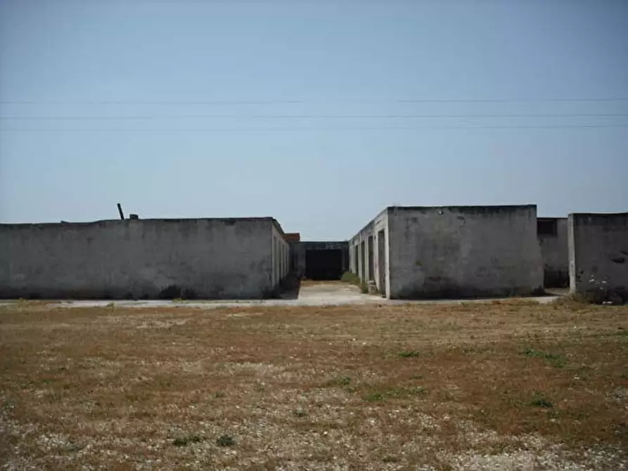 Immagine 9 di Rustico / casale in vendita  in C.da Monticelli a Ostuni