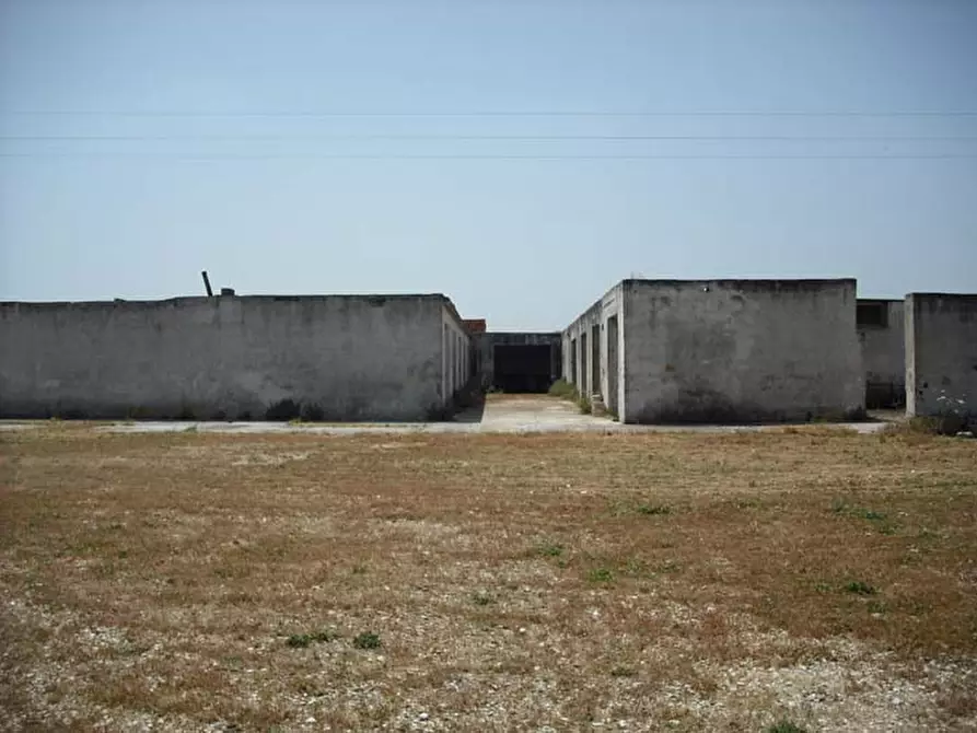 Immagine 10 di Rustico / casale in vendita  in C.da Monticelli a Ostuni