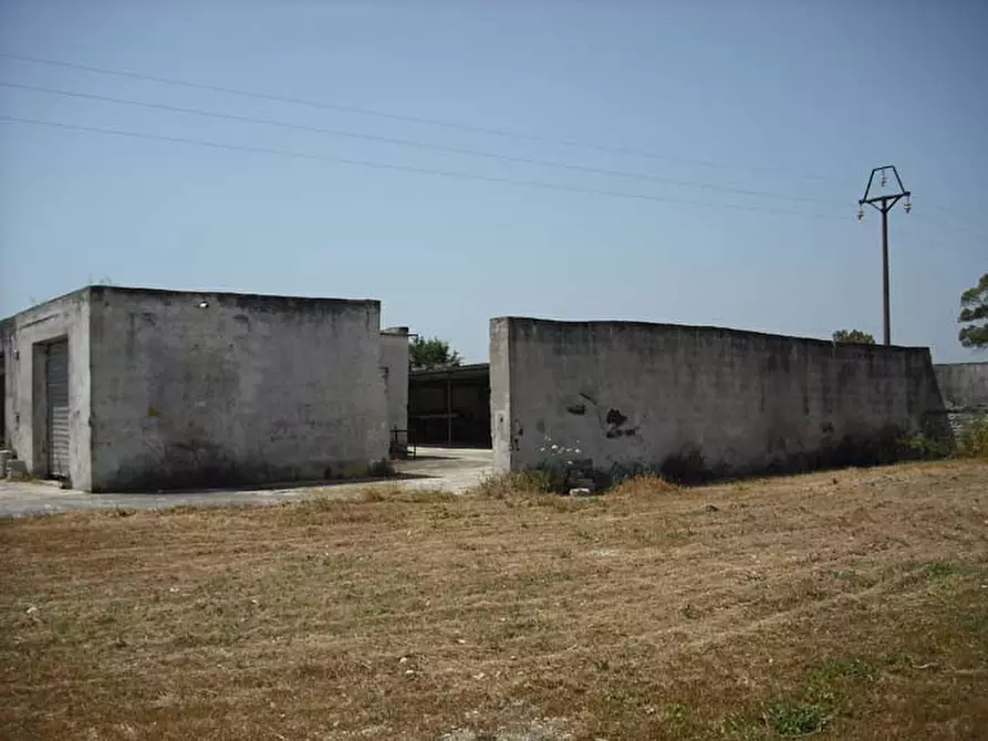 Immagine 11 di Rustico / casale in vendita  in C.da Monticelli a Ostuni