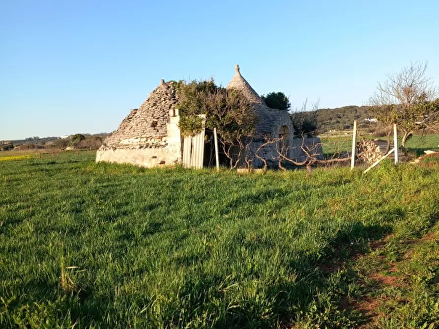 Immagine 2 di Rustico / casale in vendita  in C.da Campo Orlando a Ceglie Messapico