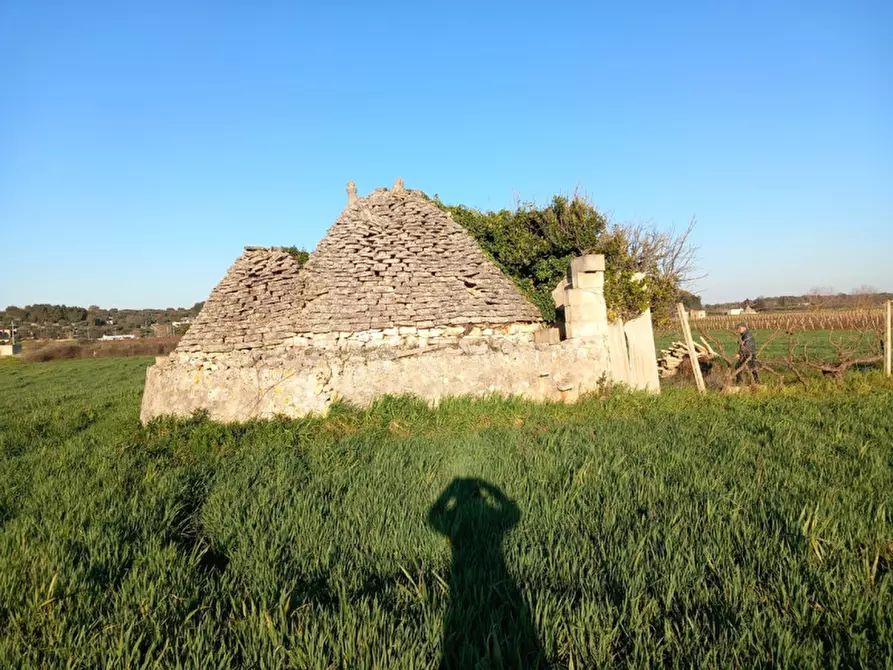Immagine 4 di Rustico / casale in vendita  in C.da Campo Orlando a Ceglie Messapico
