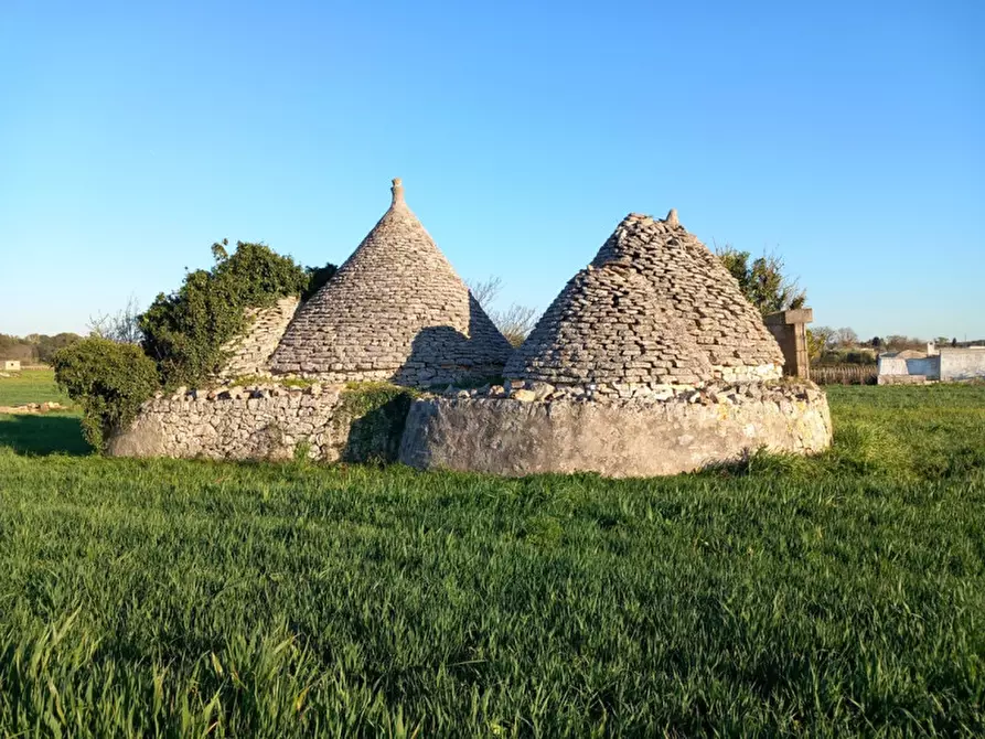 Immagine 5 di Rustico / casale in vendita  in C.da Campo Orlando a Ceglie Messapico