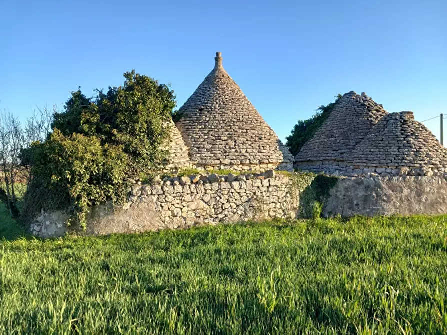 Immagine 6 di Rustico / casale in vendita  in C.da Campo Orlando a Ceglie Messapico