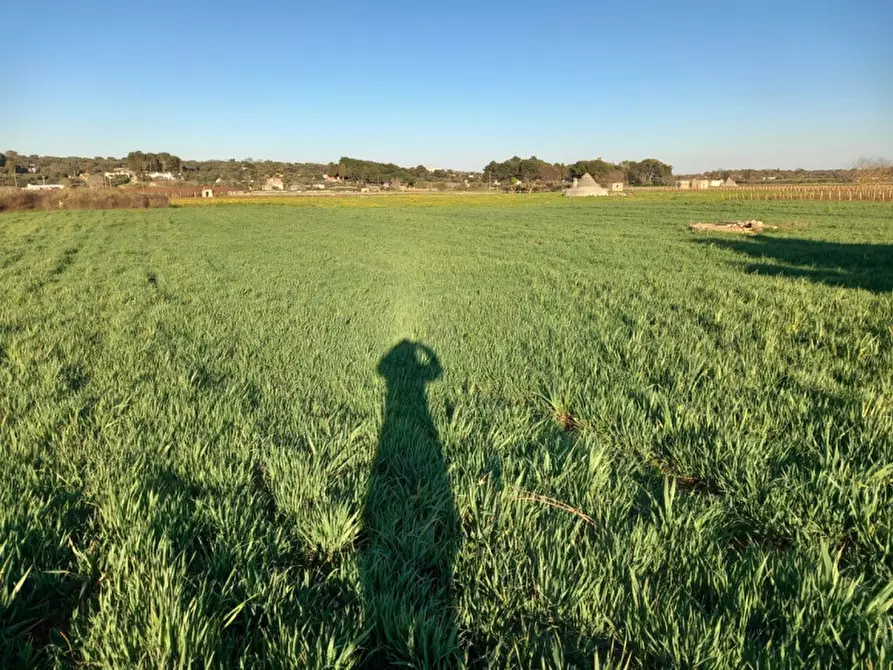 Immagine 8 di Rustico / casale in vendita  in C.da Campo Orlando a Ceglie Messapico