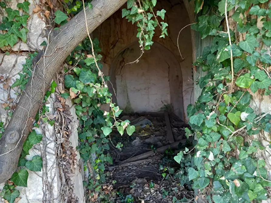Immagine 13 di Rustico / casale in vendita  in C.da Campo Orlando a Ceglie Messapico